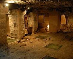 L’oro verde del Salento: dai frantoi ipogei alla molitura a freddo.